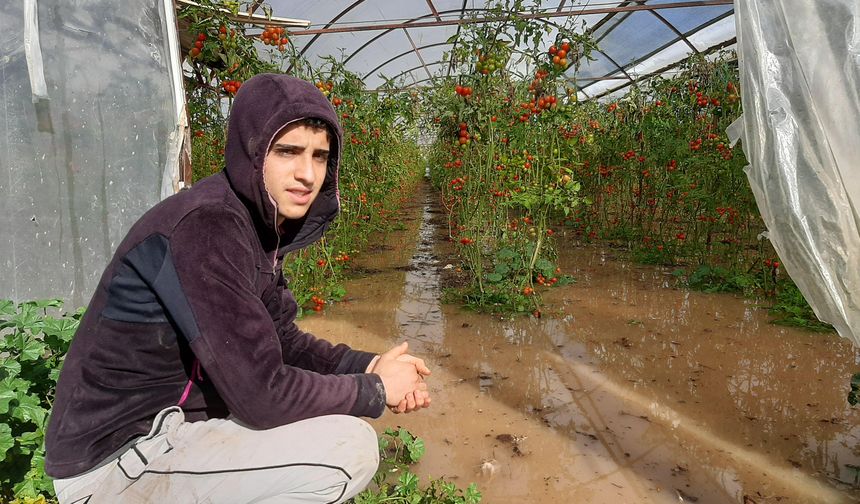 Kumlucalı çiftçi gökyüzüyle  sınanıyor