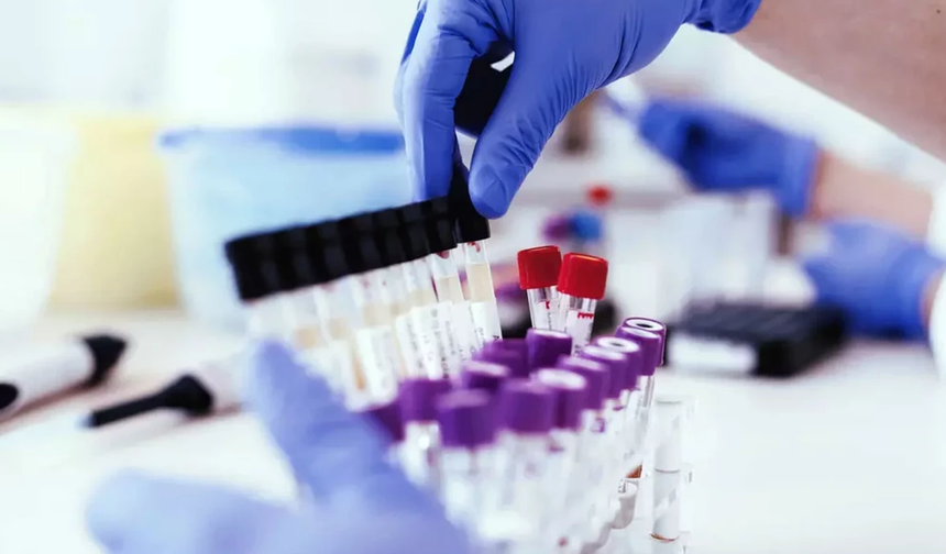 İşe Alımda “Madde Testi” Dönemi