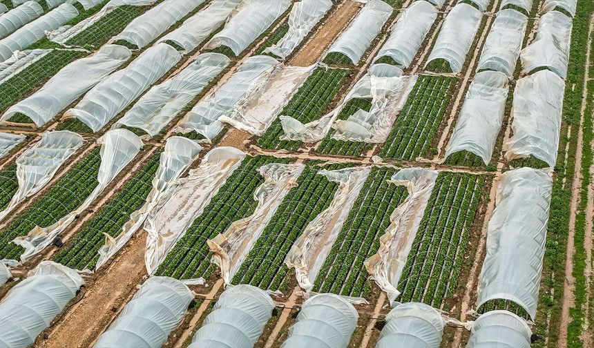 Antalya'da felaketin faturası 3 milyar TL