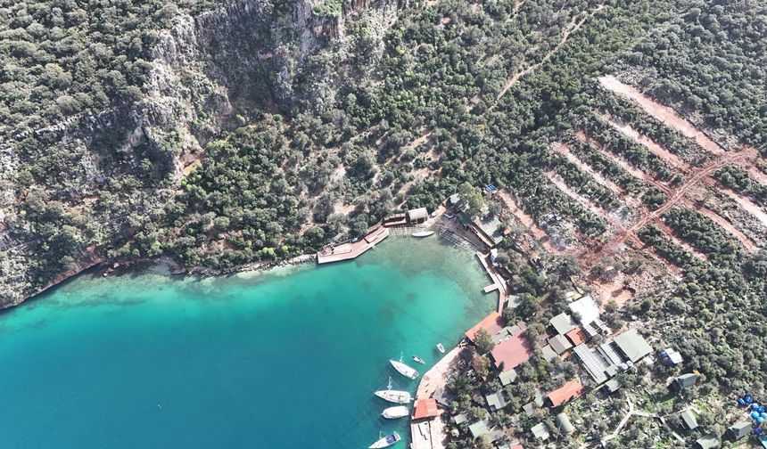 Limanağzı gün be gün yok oluyor