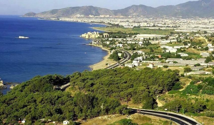 Sahillerdeki orman arazilerinde yağma sezonu açıldı!