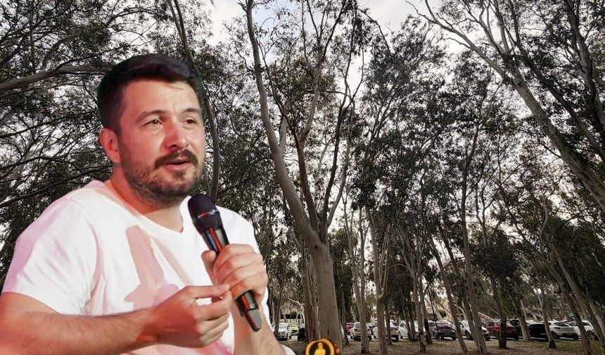 Antalya'da Okaliptüs alarmı: "Su kaynaklarını tüketiyor"