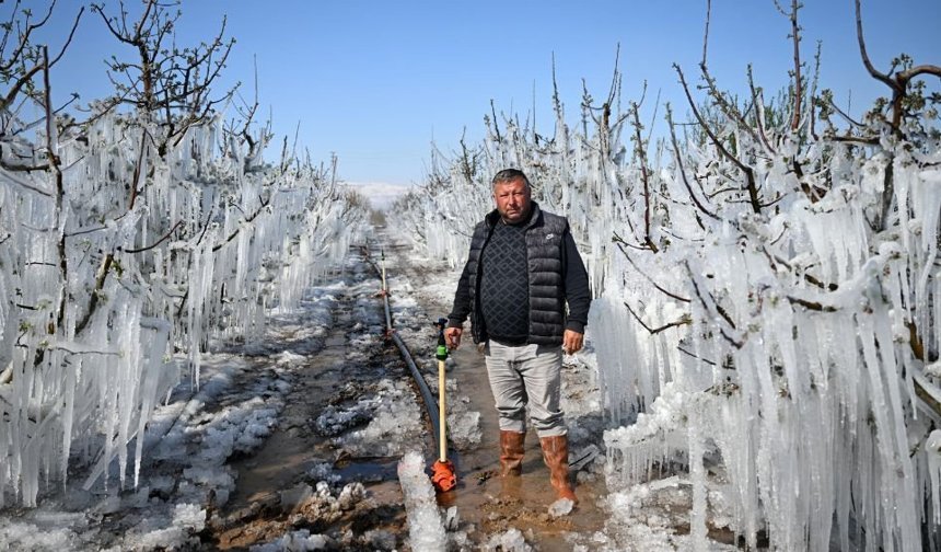 Don mücadelesi ve destek
