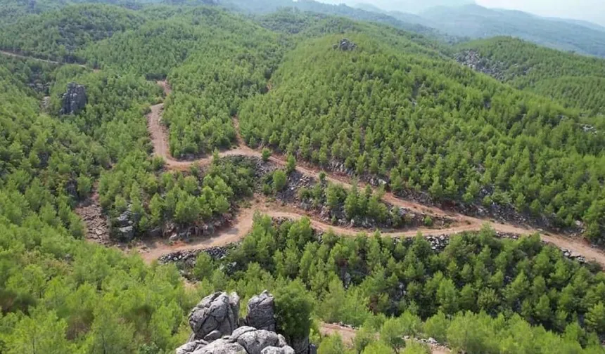 Antalya’da ormanlara girişler 31 Ekim’e kadar yasaklandı: Yangın riskine karşı sıkı tedbir