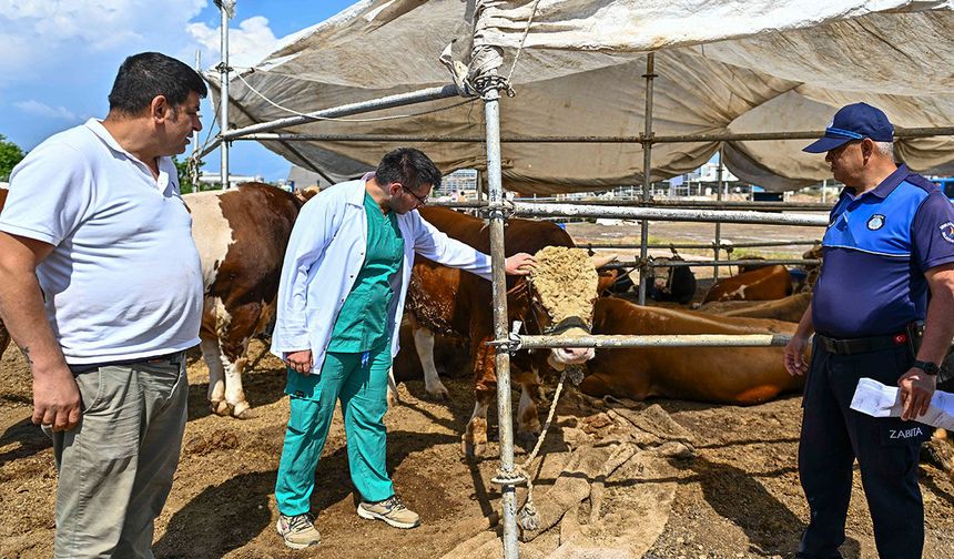 Muratpaşa Kurban Bayramı'na hazır