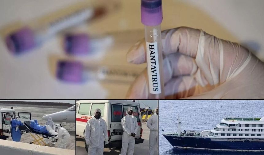 Dünyayı Tedirgin Eden Hantavirüs Salgını Pandemiye Dönüşür mü?